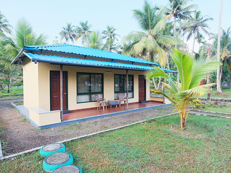 Kerala backwater gallery backdrop